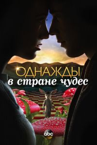 Однажды в стране чудес (2013)