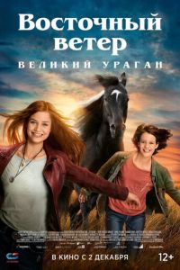   Восточный ветер. Великий ураган (2021)